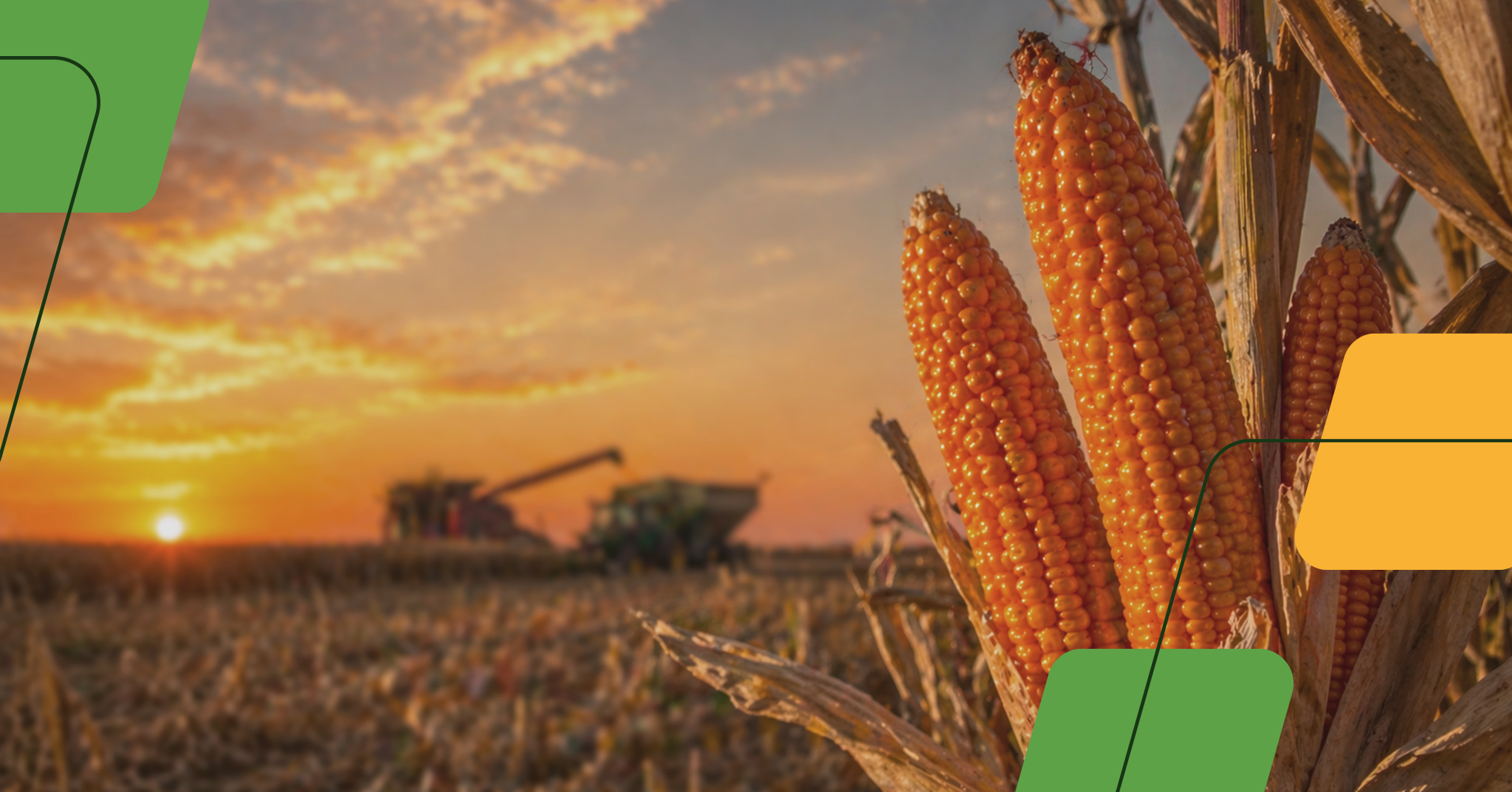 XIII Congreso de Maiz