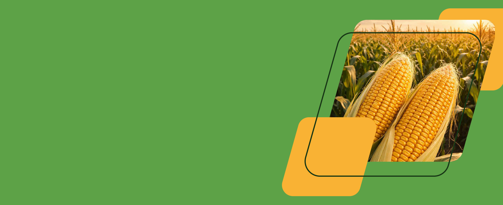 autoridades congreso nacional de maiz