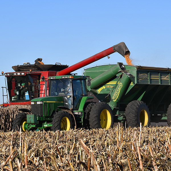 Comercialización y Usos